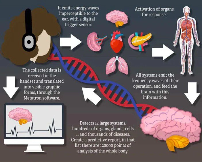 生物共振疗程，帮助释放能量、情绪、神经及身体的阻塞 Bioresonance program to reset energy, emotional, neurological  and physical blockages